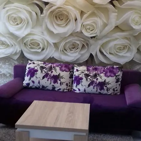 Apartament Apartamento *